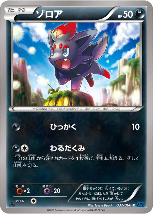 Pokemon Zorua Non Holo Collection X 037/060 Japanese Single Card