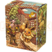 Pokemon Center Japan - Eevee Heroes Japanese Gym Special Set Deck Case
