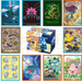 Pokemon Center Japan - Special Deck Card Sleeves Packs