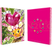 Pokemon Center Japan - Terastal Dedenne 4 Pocket Binder