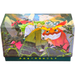 Pokemon N Simplified Chinese Battle Set Gift Box