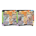 Pokemon Back To School Eraser English Two Pack Blister