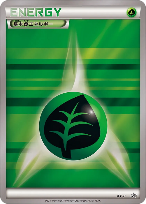 Pokemon Grass Energy Card Gym Promo Pack Promo 000/XY-P Japanese Single Card