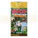 Pokemon Jungle Japanese Booster Pack