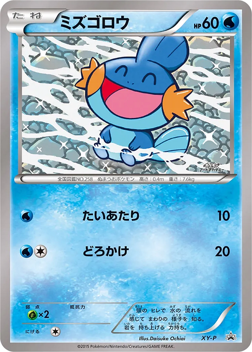 Pokemon Mudkip Pokemon Art Academy Winner Prize Promo 000/XY-P Japanese Single Card