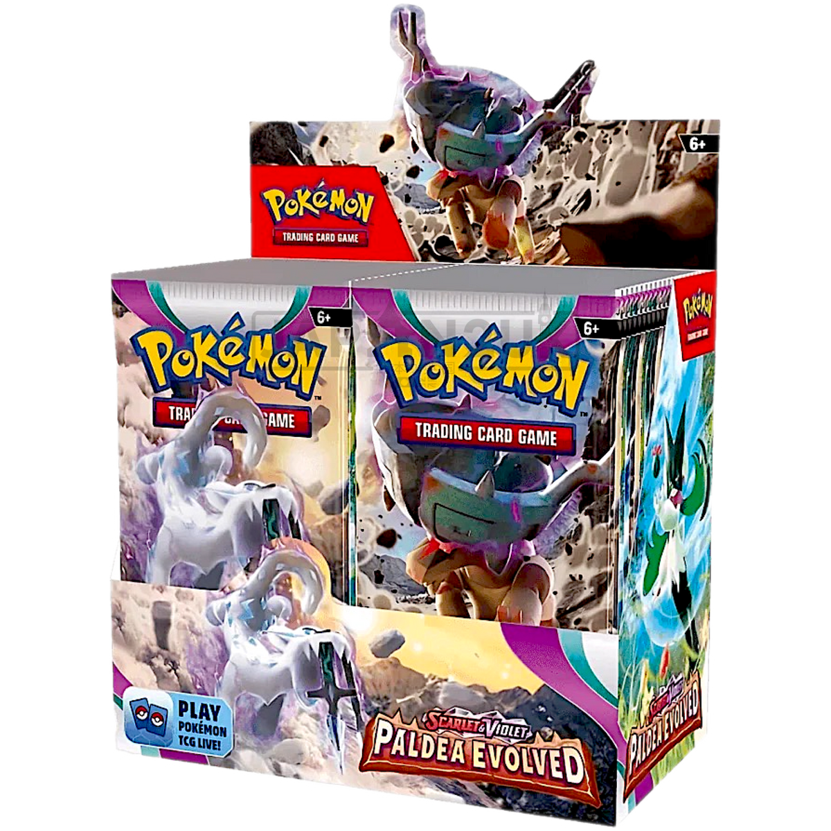 海外版　英語　POKÉMON PALDEA EVOLVED BOX 新品未開封 Pokemon Paldea Evolved English Booster Box — Japan2UK